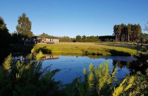 Perth House | Fern Lodge - Eco-Friendly Retreat with Hot Tub in Perthshire
