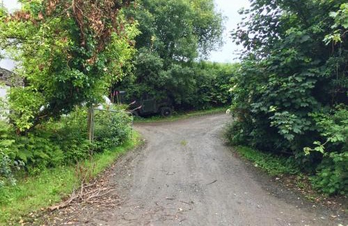 Skibbereen House | Fernery Garden Cottage: Oceanfront Retreat Near Skibbereen
