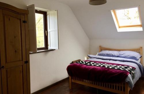 Skibbereen House | Fernery Garden Cottage: Oceanfront Retreat Near Skibbereen