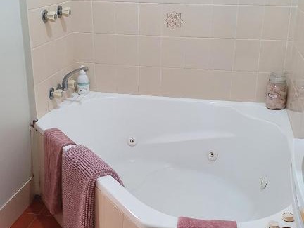 Horse Creek Apartment | Cozy Ferns Miners Rest Motel: Pet-Friendly & Breakfast Included