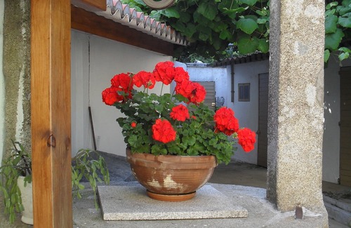 Ferrol House | Charming Ferrol: Pet-Friendly House with Garden & Ocean Views