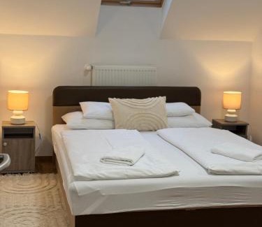 Egerfurdo Apartment | Discover Ferzs Apartman Egerszalók: Pet and Child Friendly