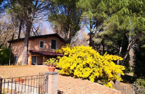 Zafferana Etnea Villa | Discover Feudo Algerazzi: 4-Star Pet-Friendly Retreat