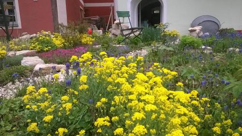 Solnhofen Apartment | Oceanfront FeWo An der Bruecke: Family-Friendly Getaway