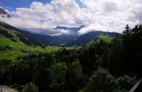 Adelboden Apartment | Pet-Friendly FeWo Fernsicht Crystal with Breakfast Included