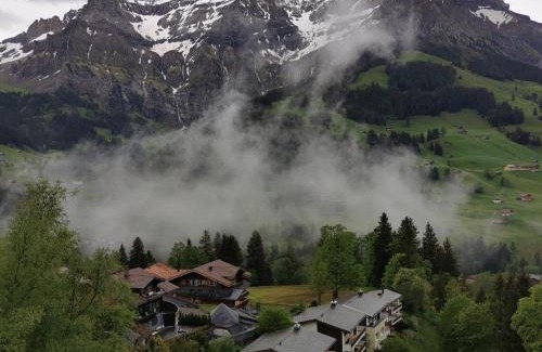 Adelboden Apartment | Pet-Friendly FeWo Fernsicht Crystal with Breakfast Included