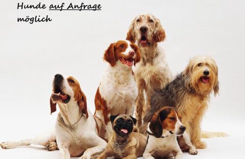 Immenstadt im Allgaeu Apartment | Family-Friendly Getaway at Fewo Gabriela Allgäu, 9.3/10 Rating