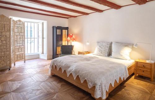 Mainz-Bingen Apartment | Fewo im Barockhaus Groß-Winternheim