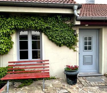 Kotzschenbroda Apartment | Discover FEWO in Altkötzschenbroda's Vibrant Quarter