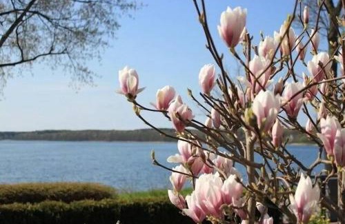 Plau am See Apartment | Seaside Retreat: Fewo in Villa with Breathtaking Views
