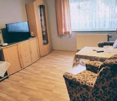 Wolmirstedt Apartment | Discover Fewo Kaiser: Pet-Friendly Retreat with Hot Tub