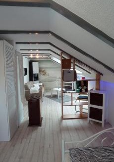 Villingen-Schwenningen Apartment | Pet-Friendly Fewo Kurt: Family Comfort in VS