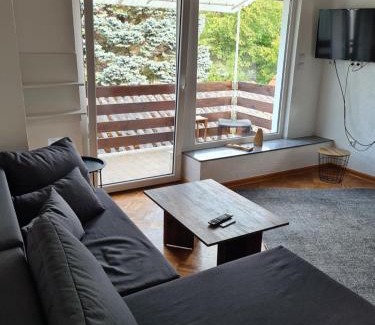 Alsfeld Apartment | Pet-Friendly Haven at FeWo Liam - Top Guest Rated Stay!