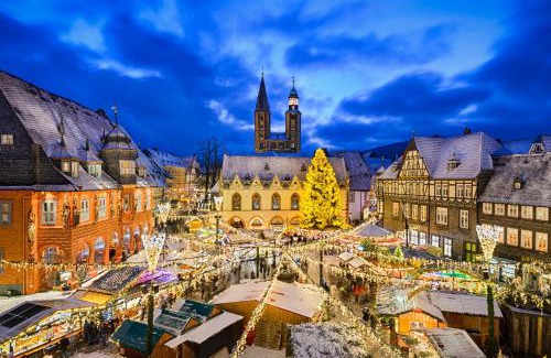 Vienenburg Apartment | Pet-Friendly FeWo Seenest: 8.8/10 Rated Family Retreat