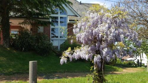 Wilnsdorf Apartment | Pet-Friendly Retreat at Fewo-Seither with Family Amenities