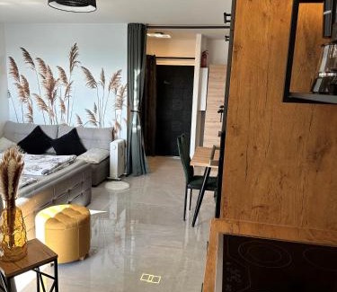 Langen Apartment | Exclusive FeWo SKY21 Langen Apartment in Central Location