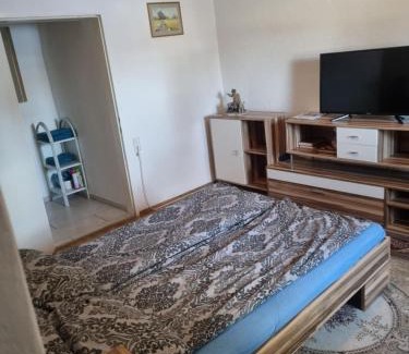 Arnoldstein Apartment | Pet Friendly FeWo Teusch Top1 - Rated 8.5/10 by Guests