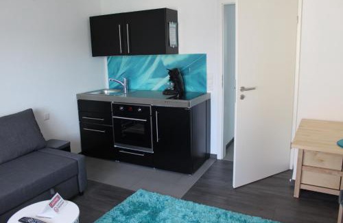 Gemarkung Endingen Apartment | Family-Friendly Stay at FeWo Topas Balingen - Rated 8.9/10