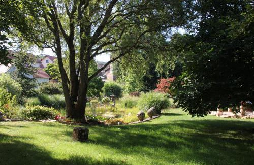 Brandau Apartment | Experience FeWo: Garden Paradise with Ocean Views