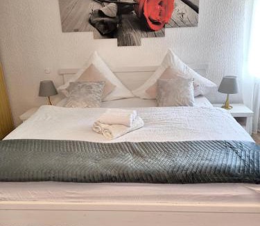 Todtmoos Apartment | Cozy Fewo Zeus with Terrace, Grill, and Family Amenities