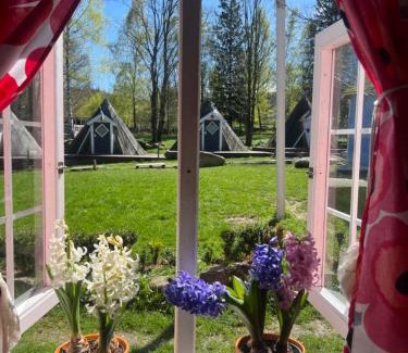 Borowice Other | Discover Fińska Wioska Kalevala: Guest Rated 10/10 Escape