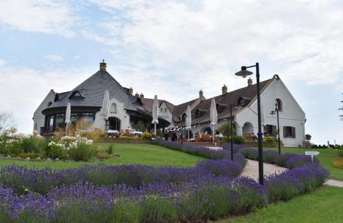Csor Bed & Breakfast | Experience Fiastyúk Udvarház: Pet-Friendly Getaway