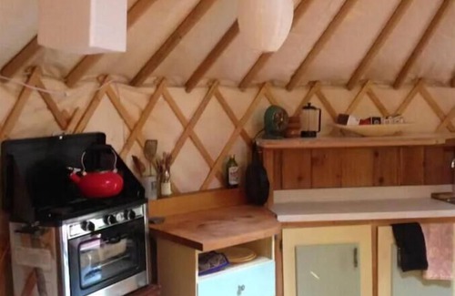 Bayview Heights RV Rental | Experience Fiddlehead Farm Yurt: Family-Friendly Retreat