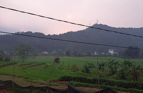 Ha Giang Bed & Breakfast | Cozy Field Homestay: Pet-Friendly with Breakfast Included