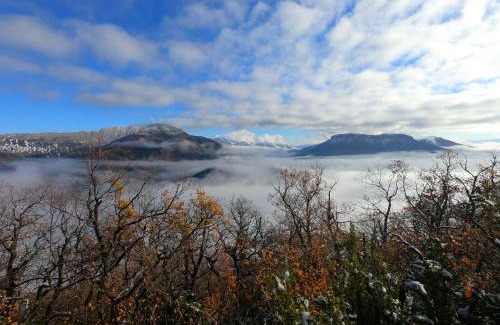 Serres Hotel | Pet-Friendly Fifi Moulin: Family Comfort & High Guest Ratings