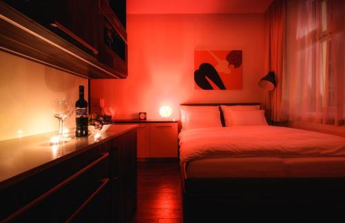 Hradec Kralove Apartment | Elegant Fifty Shades of Gray Studio in City Center