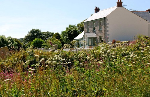 Penryn Bed & Breakfast | Discover Fig Tree House: Rated 10/10 by Guests