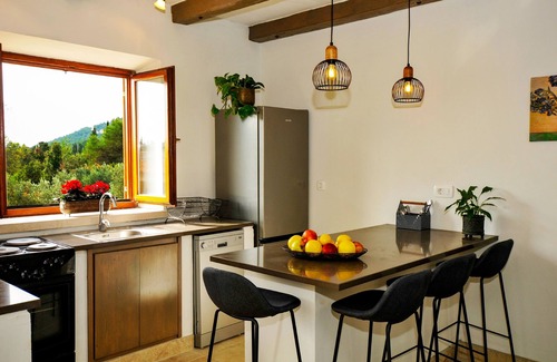 Korcula Villa | Experience Fig Tree Villa: Ocean Views in Olive Grove Bliss