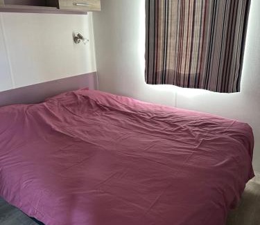 Gasselte Other | Figaro - Gasselte, Drenthe