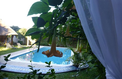 Sommerschield Bed & Breakfast | Figtree Guesthouse: Oceanfront Retreat with Pool & Views