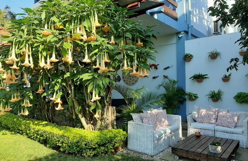 Sommerschield Bed & Breakfast | Figtree Guesthouse: Oceanfront Retreat with Pool & Views