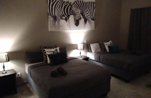 Kouga House | Experience Fijnbosch Game Lodge in Jeffreys Bay - 10/10 Rated