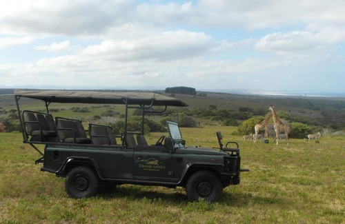 Kouga House | Experience Fijnbosch Game Lodge in Jeffreys Bay - 10/10 Rated