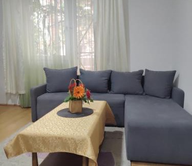 Central Serbia Apartment | Kid-Friendly Getaway at FILI 1 with Great Reviews!