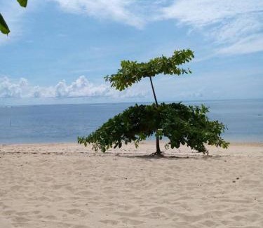 Alegria Apartment | Filmegs Seaside