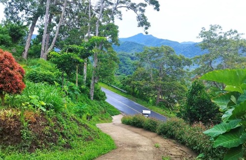 Moni House | Family-Friendly Filomena Lodge with Outstanding 9/10 Rating
