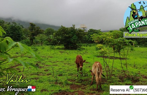 Veraguas House | Discover Finca Agroturística Sendero La Pantera Retreat