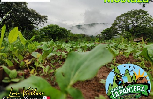 Veraguas House | Discover Finca Agroturística Sendero La Pantera Retreat