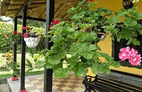 Filandia House | Relaxing Retreat at Finca Cafetera in Finlandia Quindio