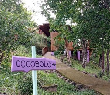 Paquera Cabin | Eco-Friendly Finca Colibri Lodges with Oceanfront Views