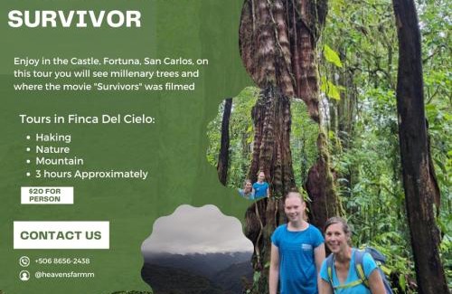 La Fortuna Bed & Breakfast | Pet-Friendly Finca Del Cielo with Top Ratings and Kitchen