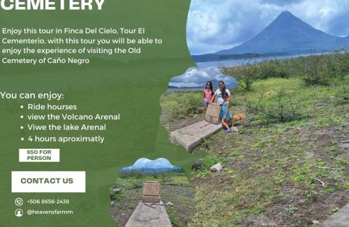 La Fortuna Bed & Breakfast | Pet-Friendly Finca Del Cielo with Top Ratings and Kitchen