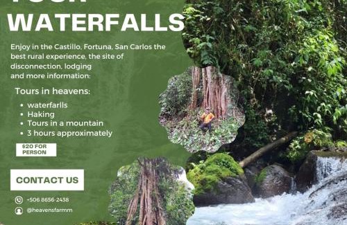 La Fortuna Bed & Breakfast | Pet-Friendly Finca Del Cielo with Top Ratings and Kitchen