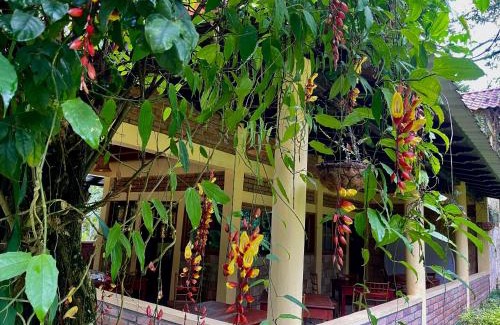 El Jaral Apartment | finca del Río Copan