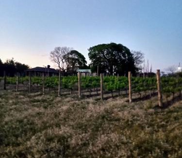 Parana Department House | Cozy Finca Doña Antonia: Pet-Friendly Retreat with High Ratings