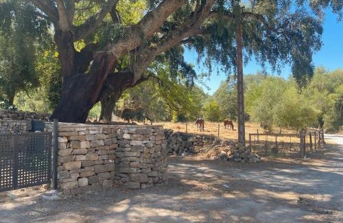 Jimena de la Frontera House | Finca El Búho Oak Natural Park